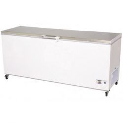 Chest Freezer with Stainless Steel Solid Lid-